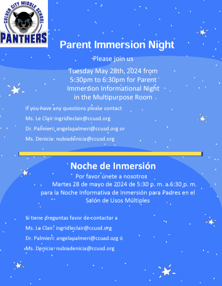 Immersion Night Flyer
